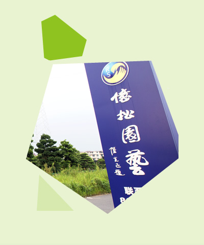 东阳市亿松园艺有限公司[公司介绍]