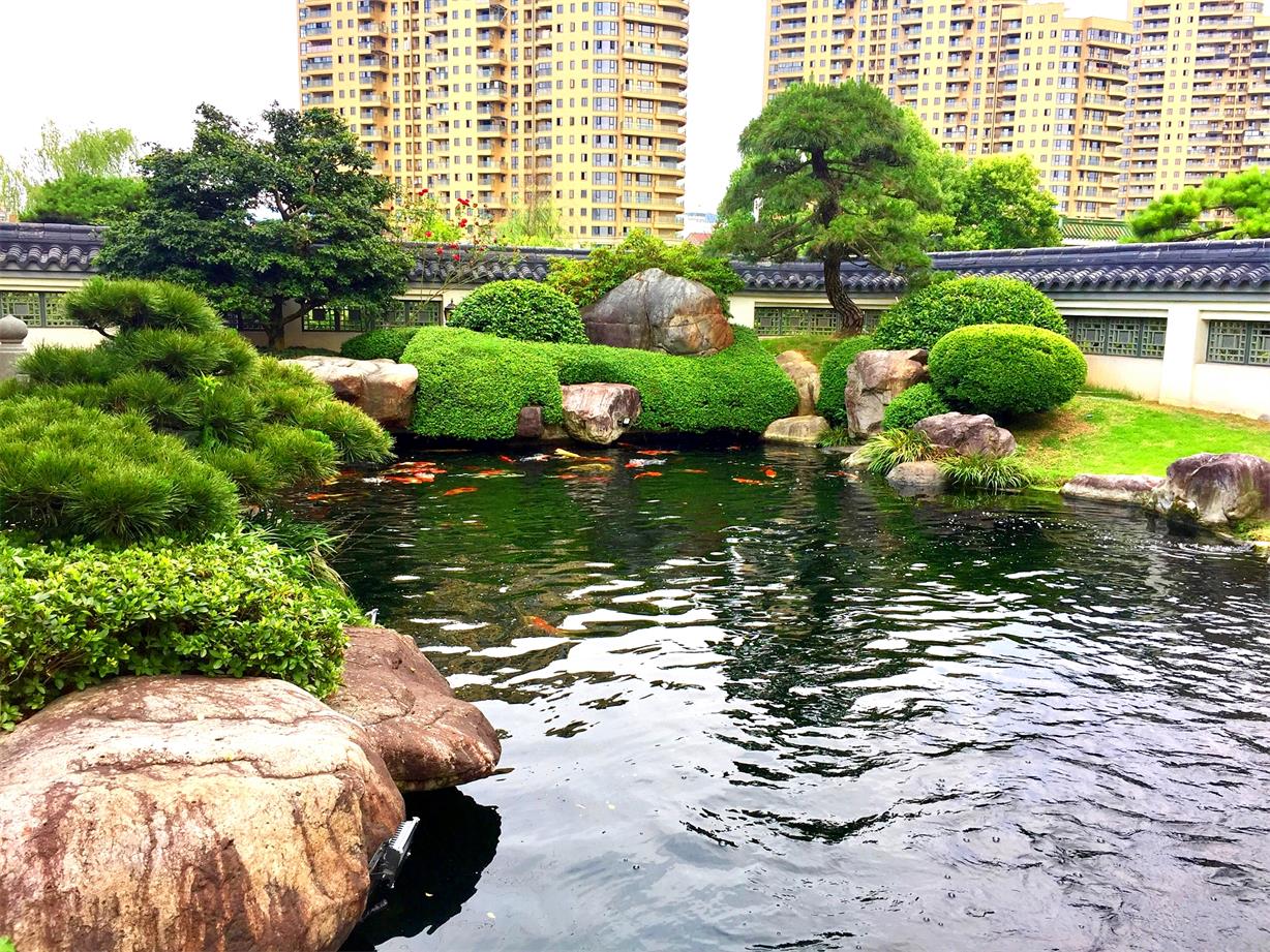 庭院实景 庭院实景