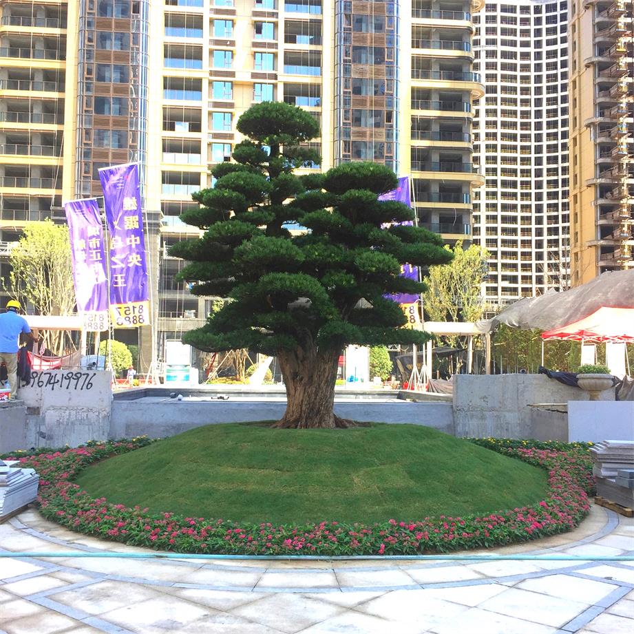 义乌中央城实景案例 义乌中央城实景案例