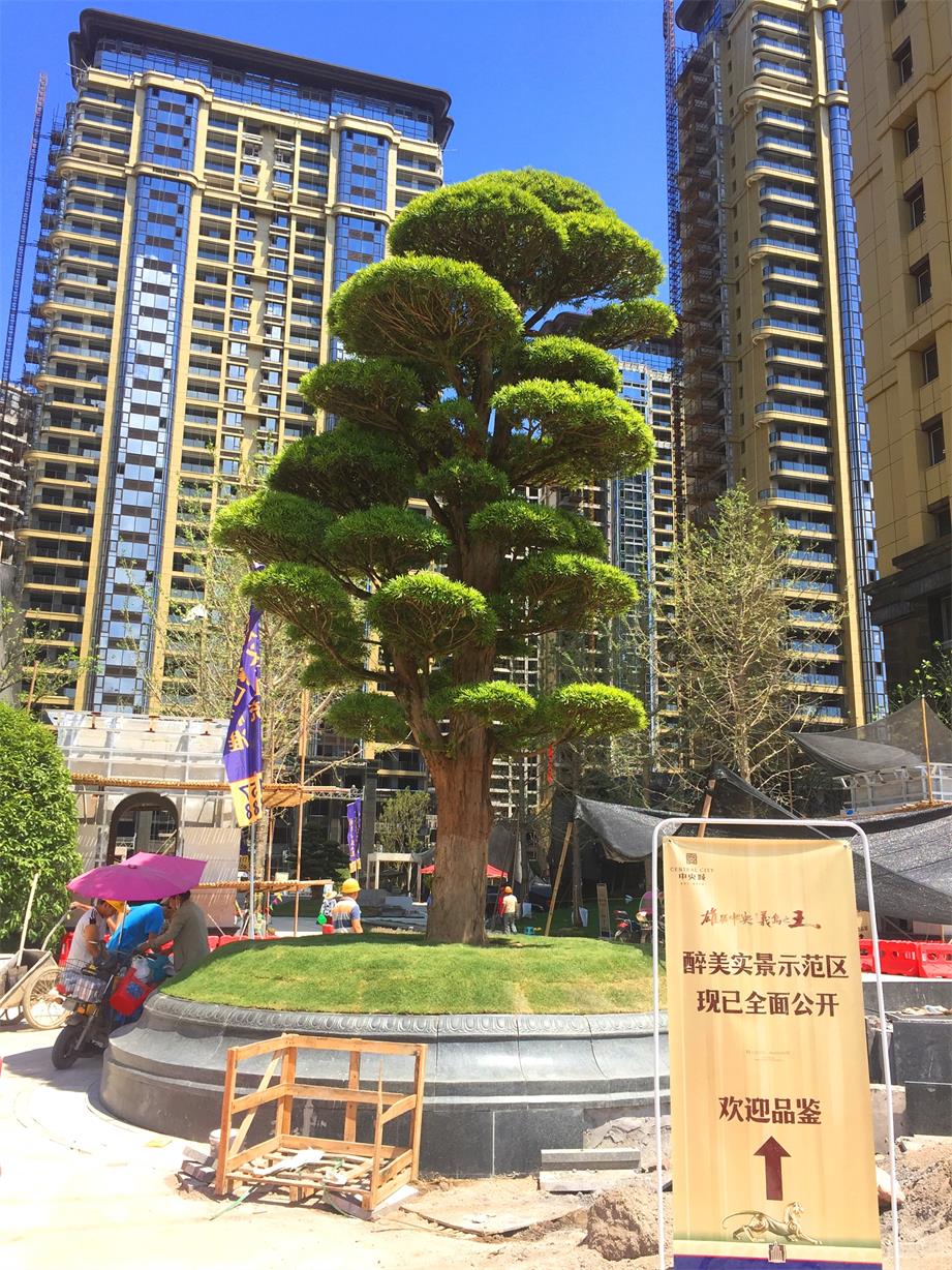 义乌中央城实景案例 义乌中央城实景案例