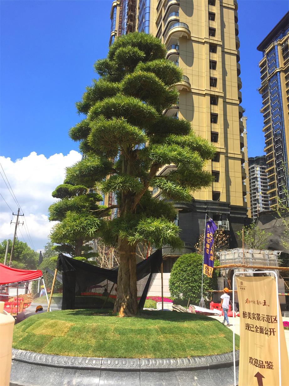 义乌中央城实景案例 义乌中央城实景案例